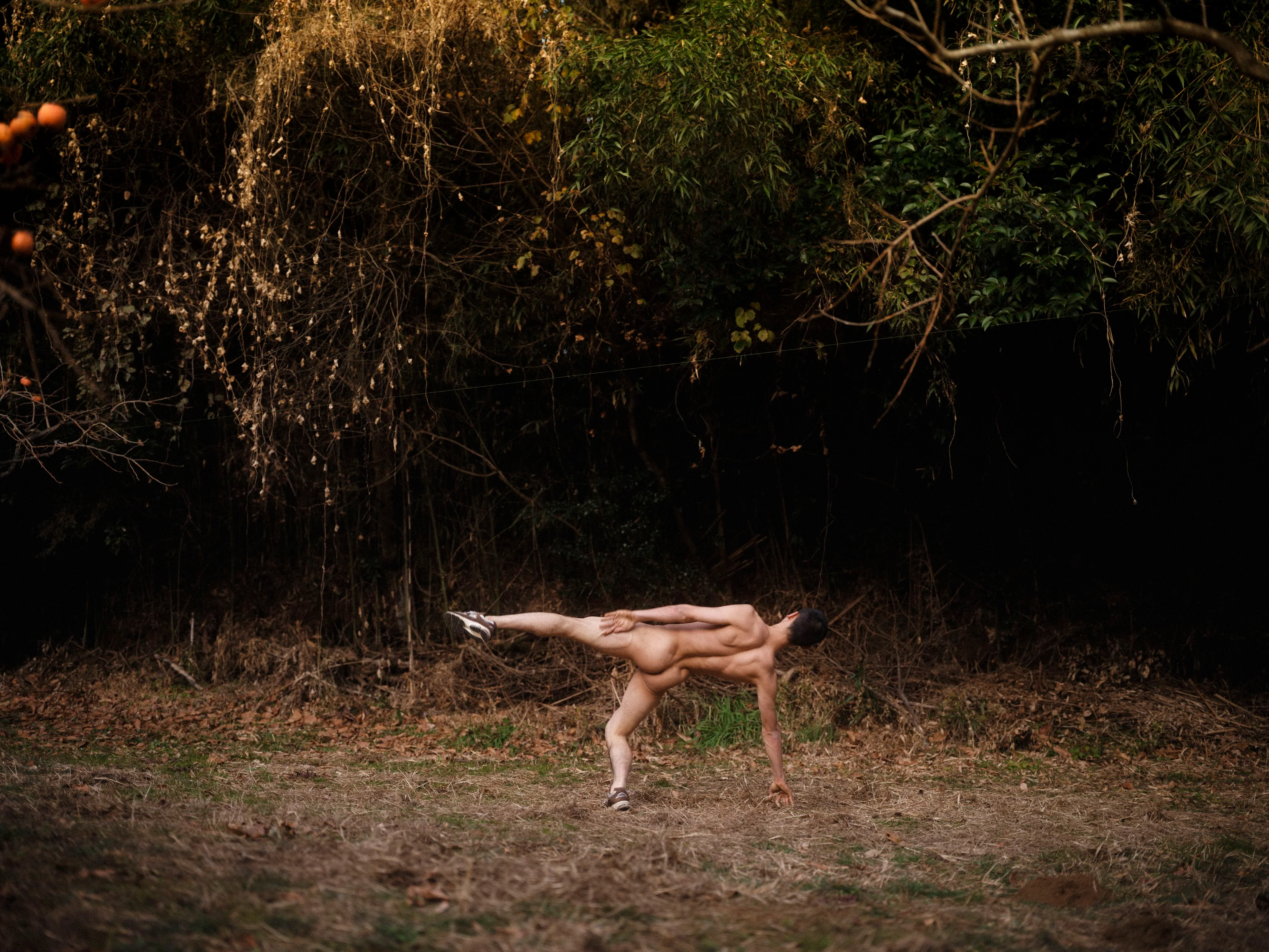 Hovering, 2023, AdeY